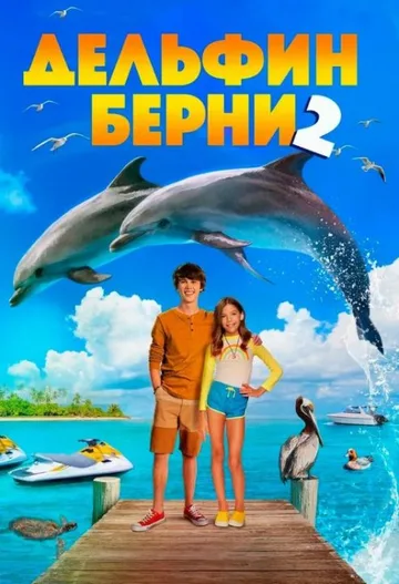 Дельфин Берни 2 (2019)