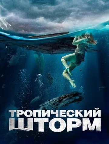 Тропический шторм (2022)