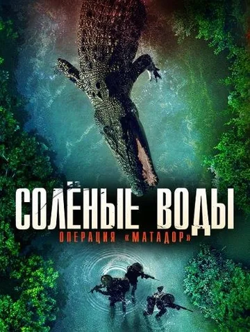 Солёные воды: Операция «Матадор» (2021)