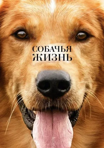Собачья жизнь (2017)