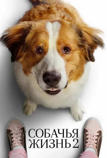 Собачья жизнь 2 (2019)