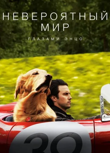 Невероятный мир глазами Энцо (2019)