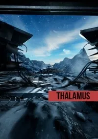 Thalamus