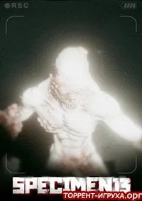 Specimen 13