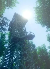 WanderWoods