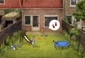 Milo and the Magpies