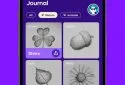 Simply Draw: Learn to Draw
