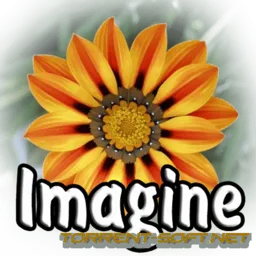 Imagine 1.1.5 + Plugins (2022) PC | + Portable