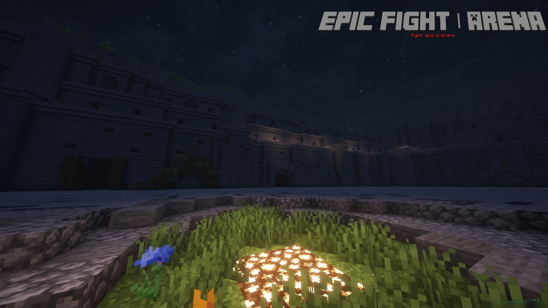 Скриншот Epic Fight | Arena 2