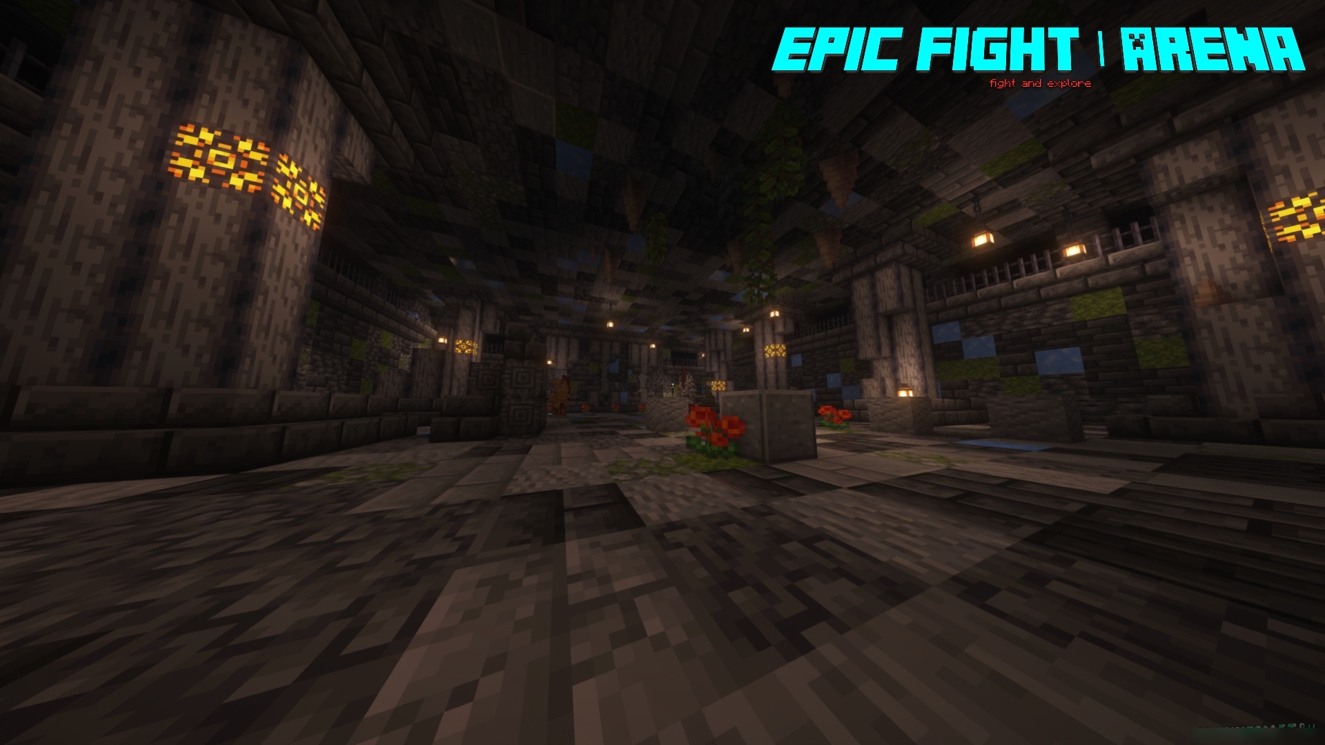 Скриншот Epic Fight | Arena 6