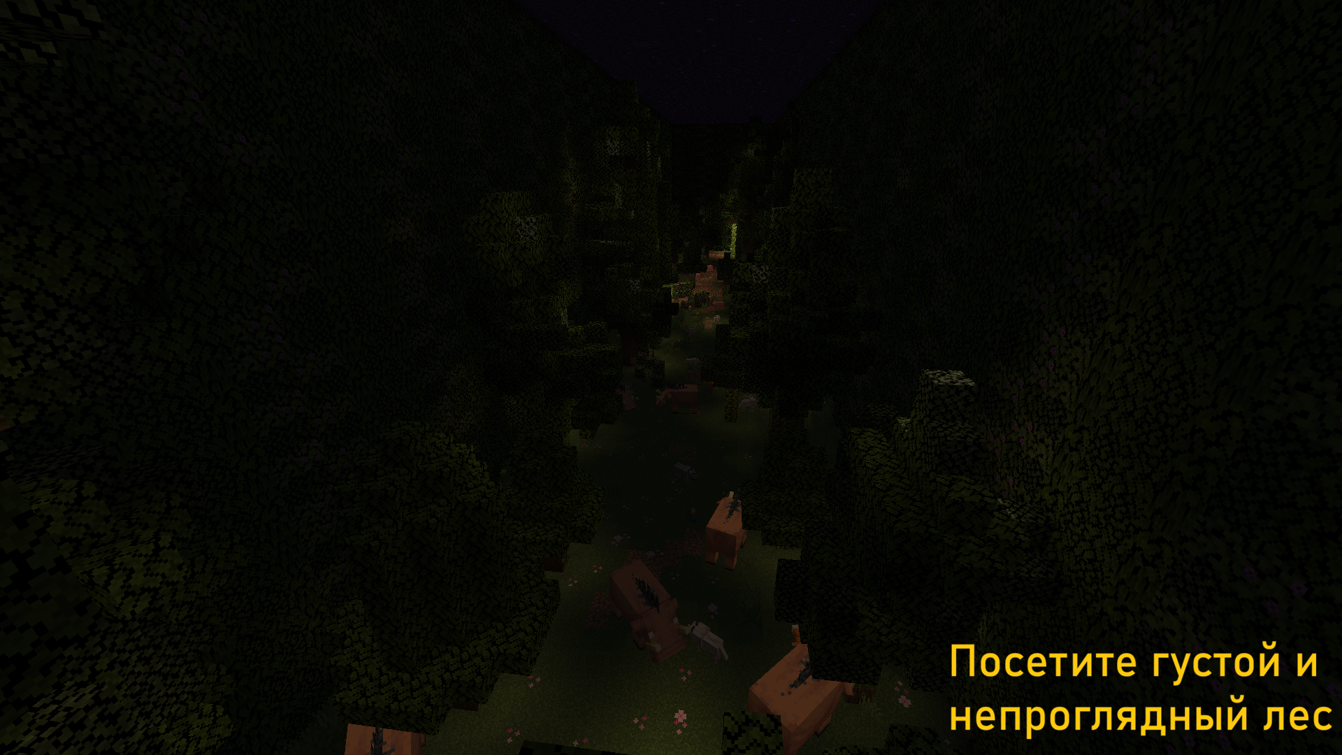 Скриншот Испытание Авантюриста 6