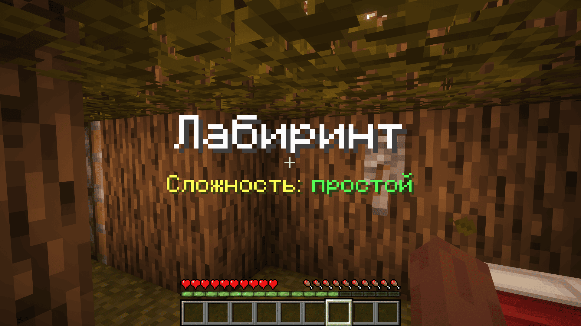 Лабиринт и Стрельба