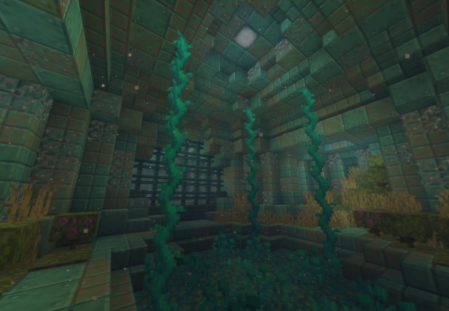 Maze & Cave