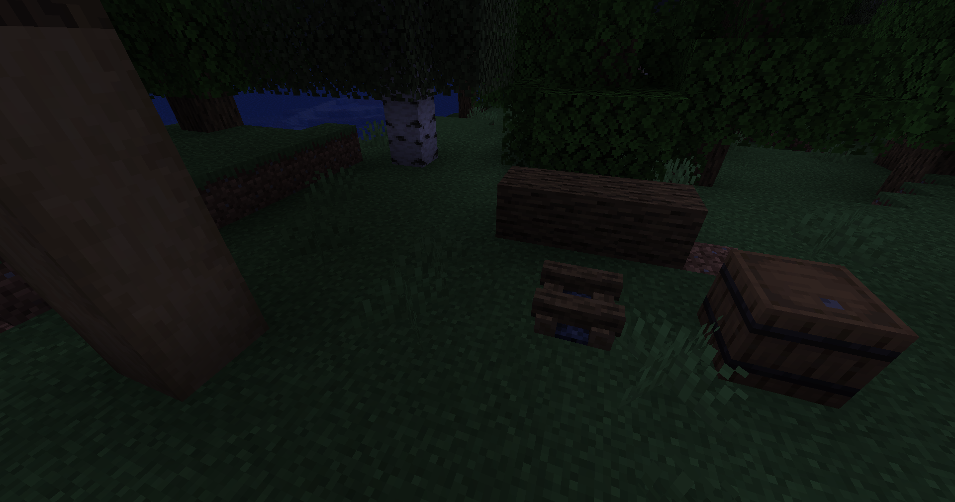The Dark Forest