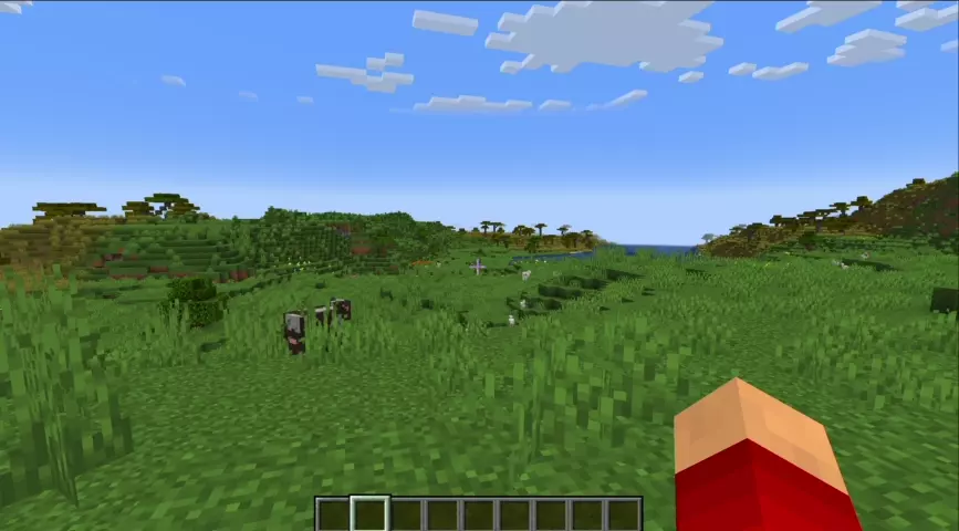 Zoomify — мод для зума с высокой настройкой для Minecraft 1.21.11