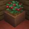 Botany Pots