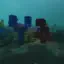Creative SuperFlat Coral