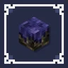 Eternal Starlight