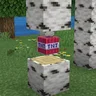 Find the TNT