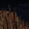 I Call Them Cities