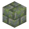Nemo's Mossy Blocks