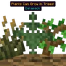 Plants Can Grow in Trees!