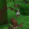 Player Skinwalker