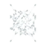 Spider Spits Web│蜘蛛吐絲