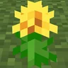 Taraxacum
