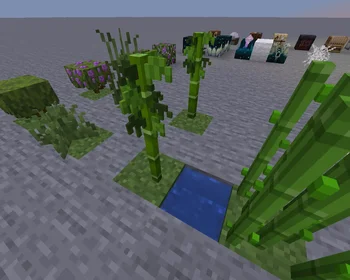 Скриншот 3D Vanilla 6