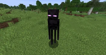 AL's Enderman Revamped x Fresh Animations