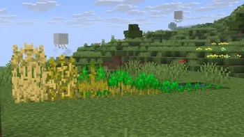 Better Foliage