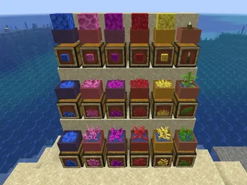 Botany Pots