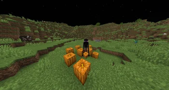 Enderman Grief