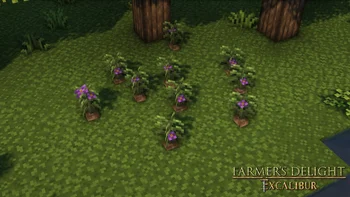 Скриншот Excalibur | Farmer's Delight Support 3