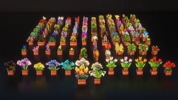 Fresh Flower Pots: Compats