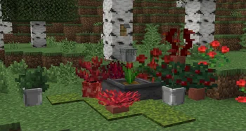 Gardener's Dream