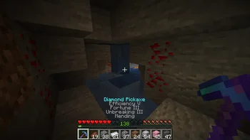 Held Item Info