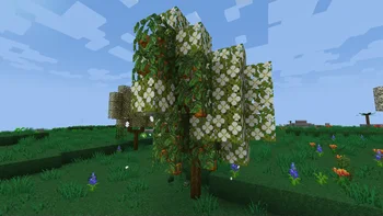 Скриншот ILAORE's TFC 32x 3