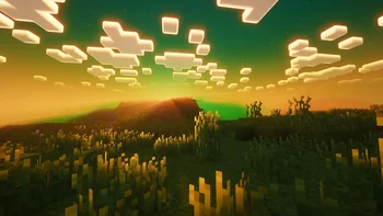 Jooonah's Grove