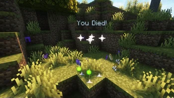 Last Death Location