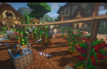 [Let's Do] Farm & Charm
