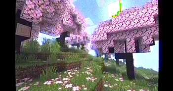 Скриншот MC VHS 6