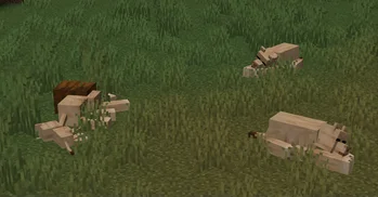 Скриншот Naturalist 5