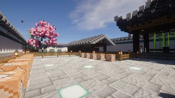 Скриншот NS's Random Gunfight 6
