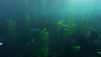 Скриншот Ocean Depths 3