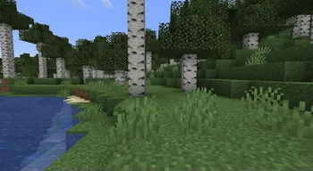 OptiFPS
