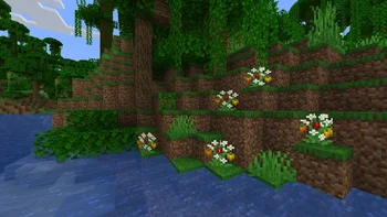 Скриншот Rustic Delight 5