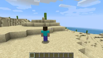 Скриншот Shoulder Surfing Reloaded 2