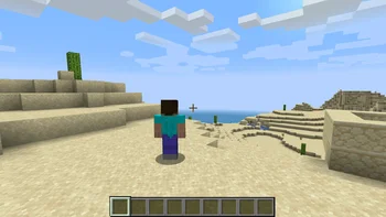 Скриншот Shoulder Surfing Reloaded 4